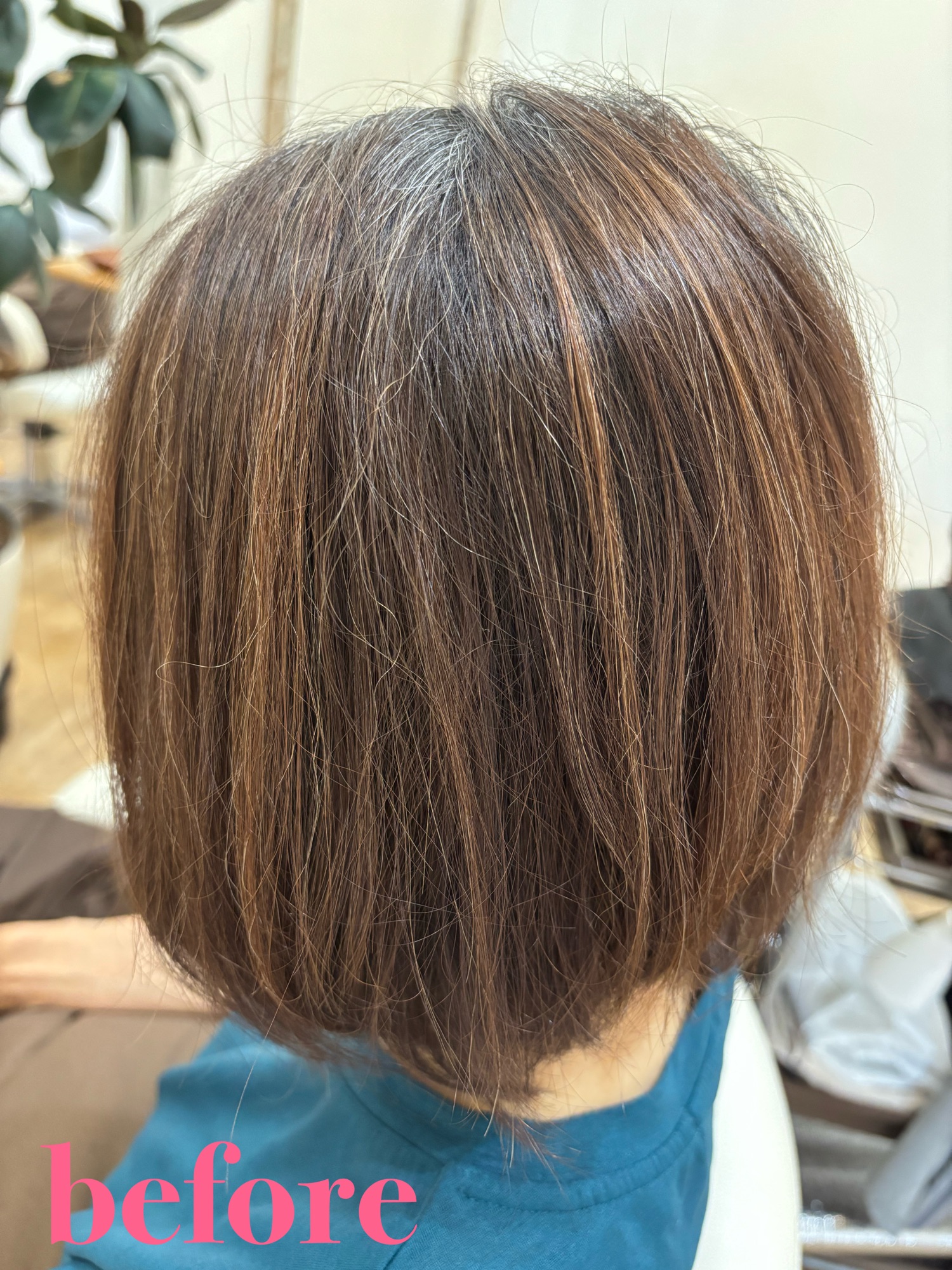 施術前の状態。重たいシルエットで、チリつく乾燥により艶が失われている髪