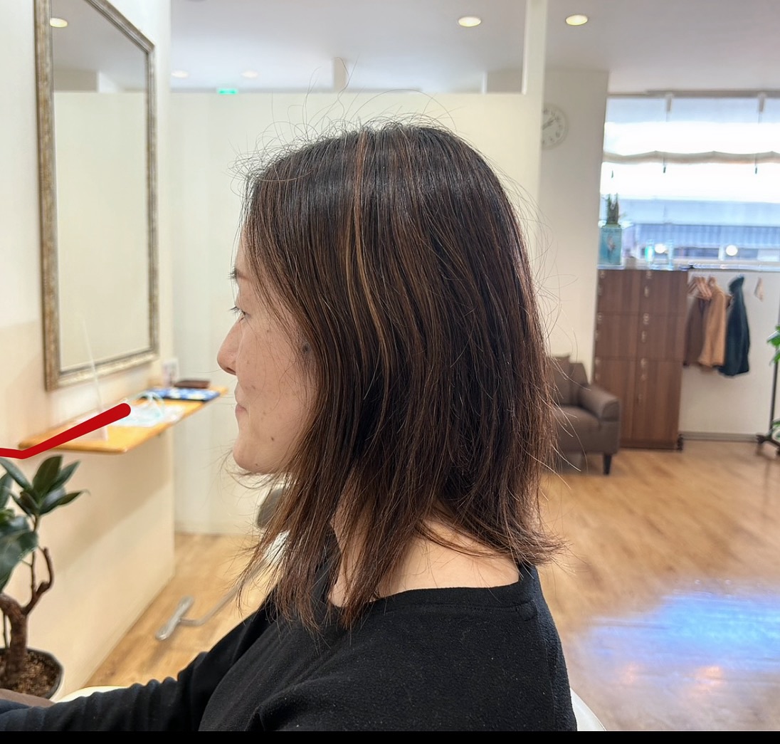 施術前の状態。夏の間束ねていた影響や、大人特有のうねり・パサつきが出ている状態